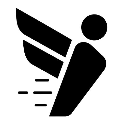 Civi.ge logo