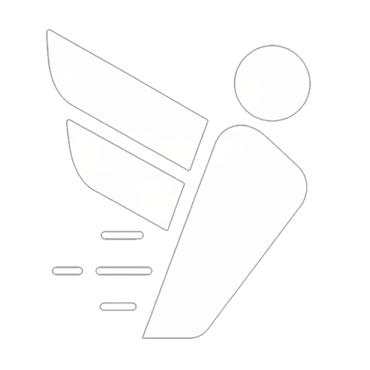 Civi.ge logo